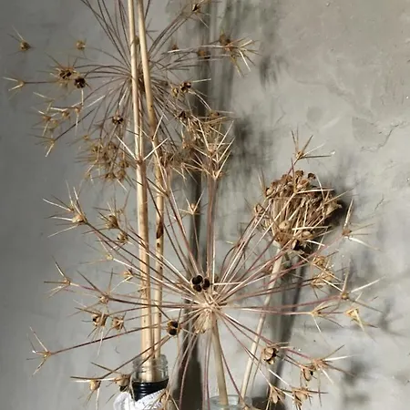 Accommodatie bij particulieren Les Remparts *