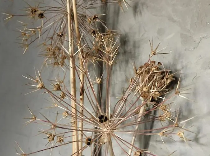 Проживание в семье Les Remparts *